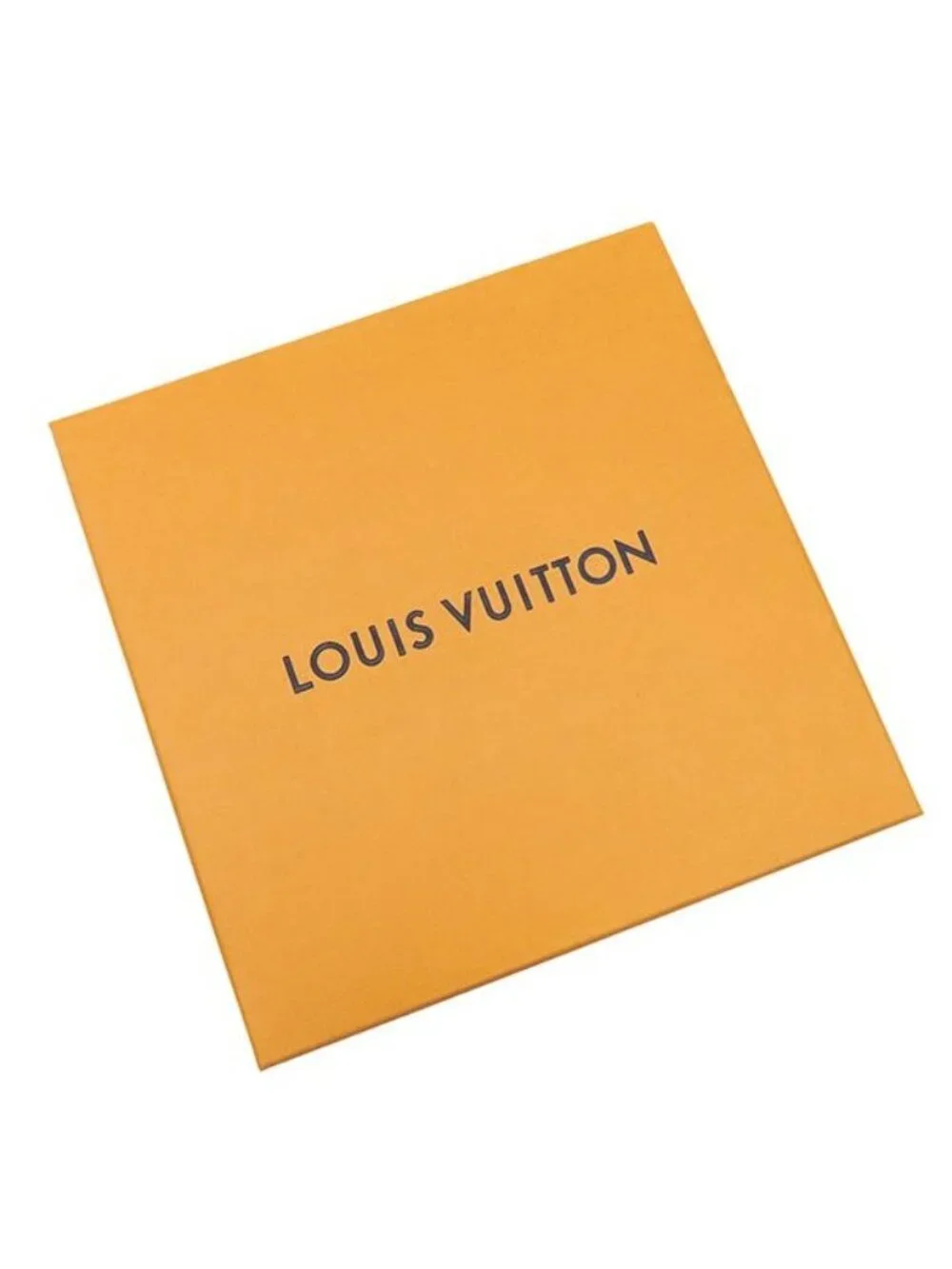 Louis Vuitton brand louis